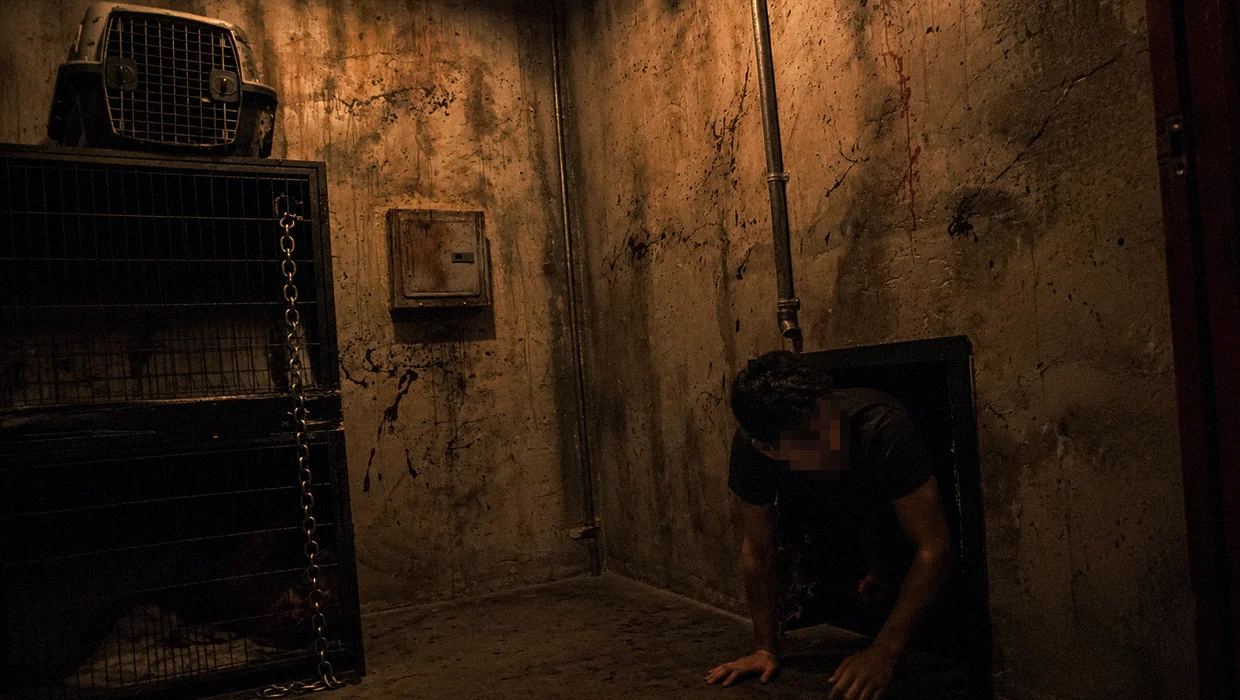 The Basement - Photo 5
