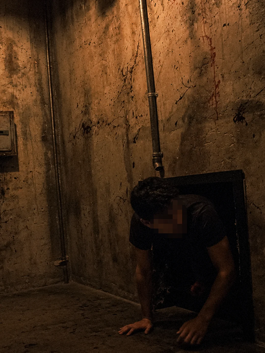 The Basement - Photo 5