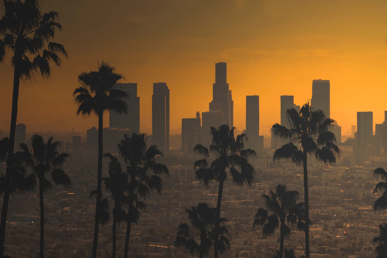 What Are the Best Escape Rooms with Live Actors in Los Angeles?